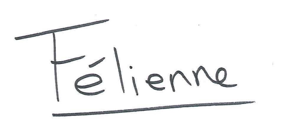Félienne Hermans